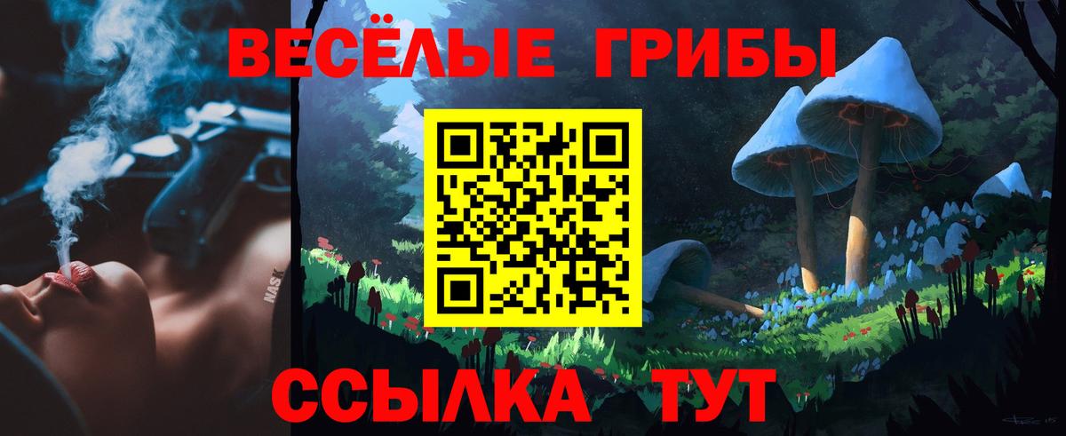 купить наркотик  Псилоцибиновые грибы Psilocybe  Вход с VPN  Богданович 